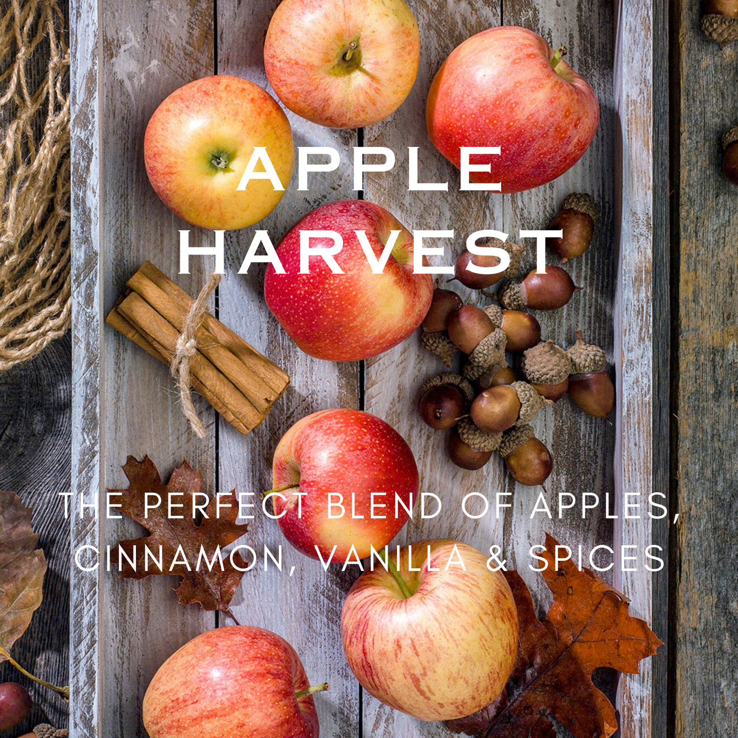 Apple Harvest