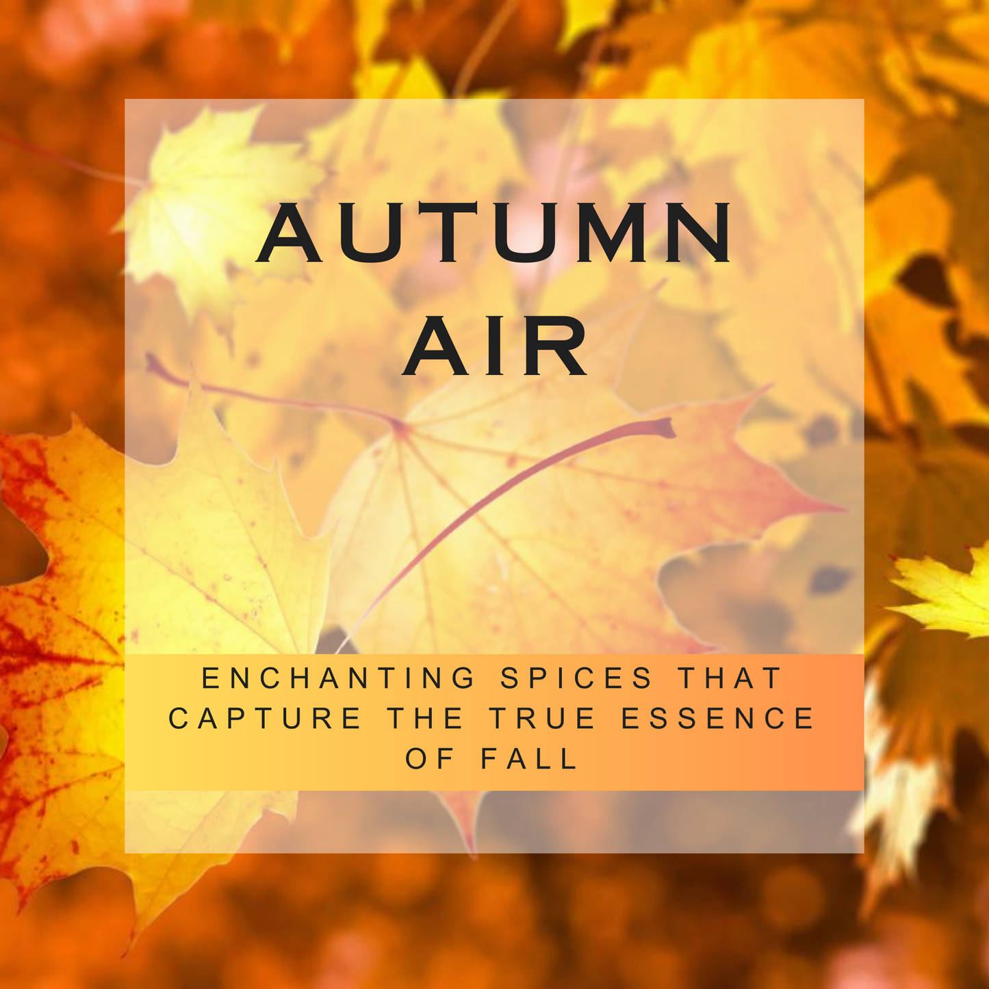 Autumn Air